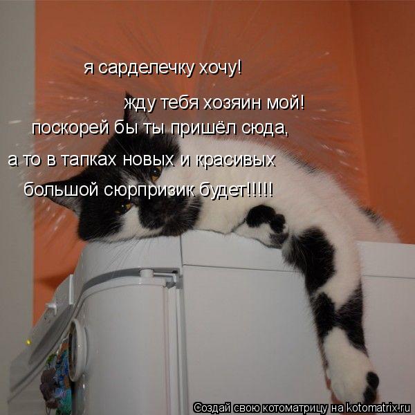 Котоматрица: я сарделечку хочу! жду тебя хозяин мой! поскорей бы ты пришёл сюда, а то в тапках новых и красивых большой сюрпризик будет!!!!!