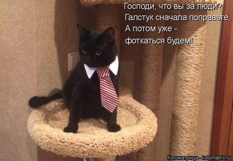 Котоматрица: Господи, что вы за люди? Галстук сначала поправьте, А потом уже - фоткаться будем!