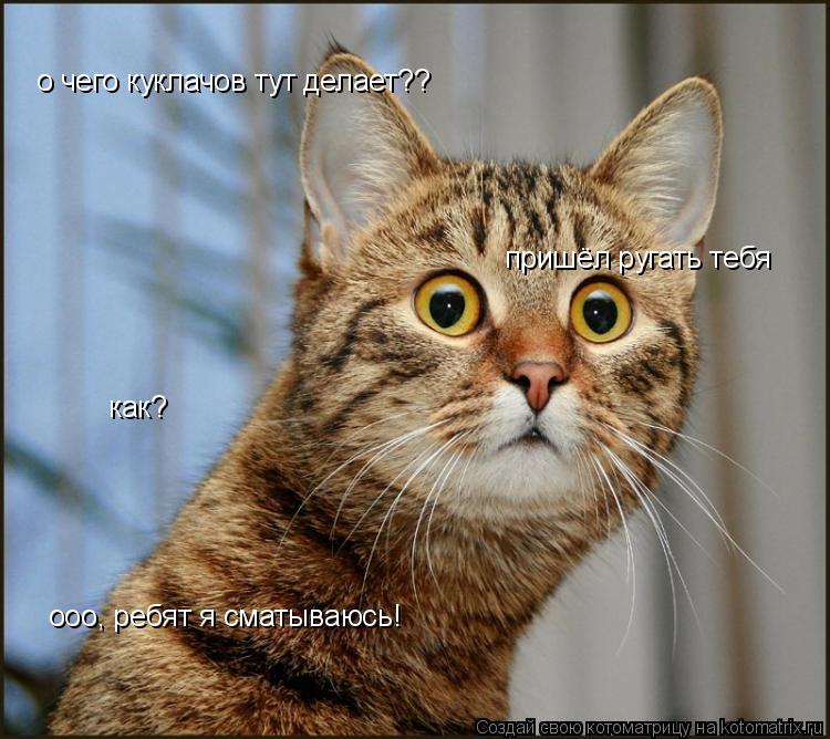 Котоматрица: о чего куклачов тут делает?? пришёл ругать тебя как? ооо, ребят я сматываюсь!