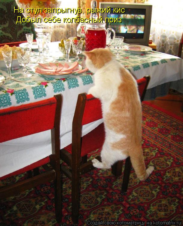 Котоматрица: На стул запрыгнув, рыжий кис Добыл себе колбасный приз