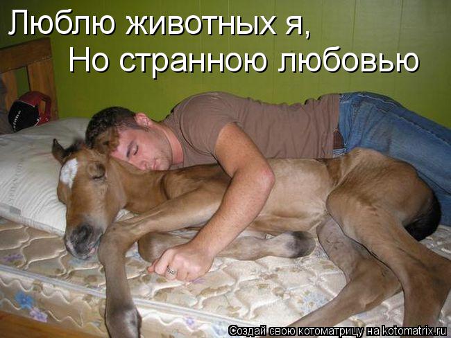 Котоматрица: Люблю животных я, Но странною любовью