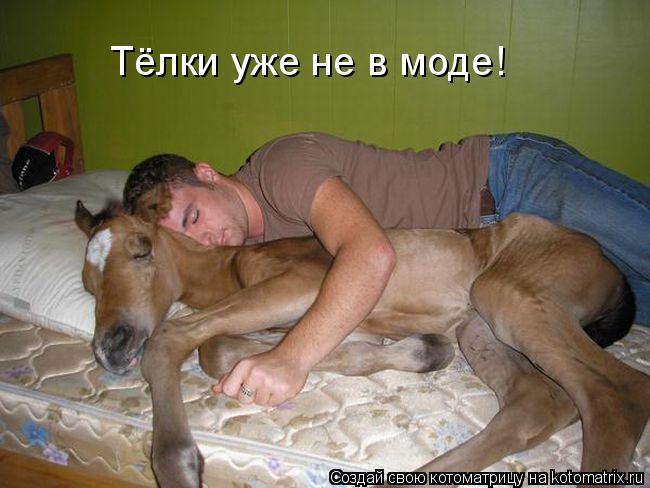 Котоматрица: Тёлки уже не в моде!