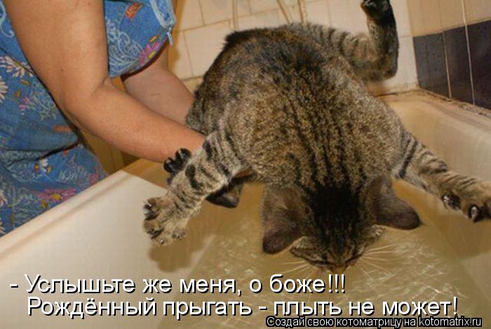 Рождённый прыгать - плыть не может! - Услышьте же меня, о боже!!!... Котоматрица: Рождённый прыгать - плыть не может! - Услышьте же меня, о боже!!!