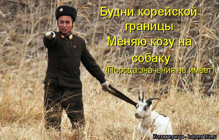 Котоматрица: Будни корейской границы . Меняю козу на  собаку (Порода значения не имеет)