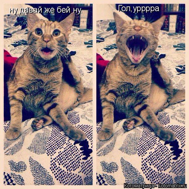 Котоматрица: ну давай же бей ну. Гол,урррра
