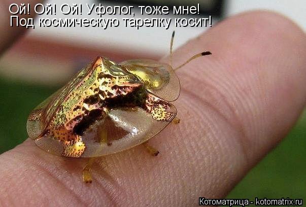 Котоматрица: Ой! Ой! Ой! Уфолог, тоже мне! Под космическую тарелку косит!