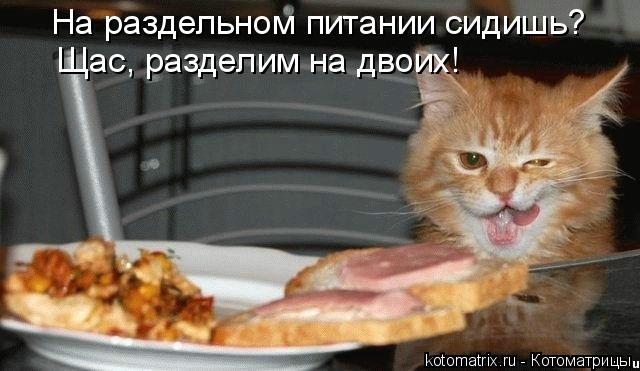 Котоматрица: На раздельном питании сидишь? Щас, разделим на двоих!