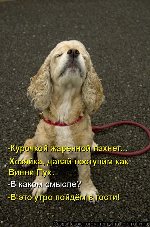 -Курочкой жаренной пахнет... Хозяйка, давай поступим как Винни Пух. -В каком смысле? -В это утро пойд... Котоматрица: -Курочкой жаренной пахнет... Хозяйка, давай поступим как Винни Пух. -В каком смысле? -В это утро пойдём в гости!