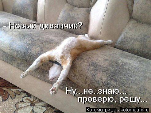 Котоматрица: Ну...не..знаю... - Новый диванчик? проверю, решу...