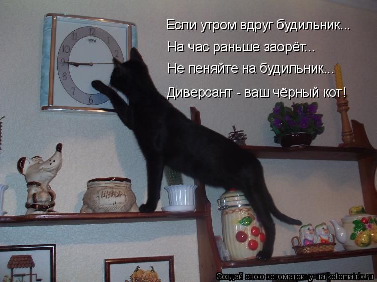 Котоматрица: Если утром вдруг будильник... На час раньше заорёт... Не пеняйте на будильник... Диверсант - ваш чёрный кот!