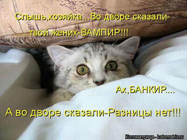 Котоматрица: Слышь,хозяйка...Во дворе сказали- твой жених-ВАМПИР!!! Ах,БАНКИР.... А во дворе сказали-Разницы нет!!!
