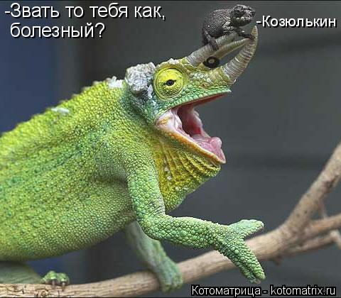 Котоматрица: -Звать то тебя как, болезный? -Козюлькин