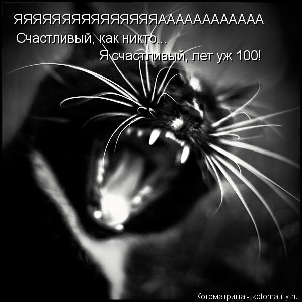 Котоматрица: ЯЯЯЯЯЯЯЯЯЯЯЯЯЯЯАААААААААААА Счастливый, как никто... Я счастливый, лет уж 100!
