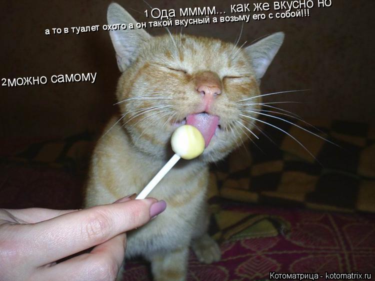 Котоматрица: Ода мммм... как же вкусно но можно самому  а то в туалет охото а он такой вкусный а возьму его с собой!!! 1 2