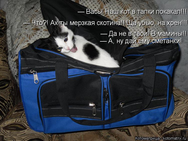 Котоматрица: — Вась! Наш кот в тапки покакал!!! — Что?! Ах ты мерзкая скотина!! Ща убью, на хрен!!! — Да не в твои! В мамины!! — А, ну дай ему сметанки! — Что?! Ах 