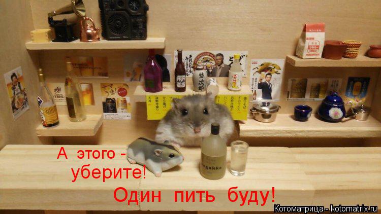 уберите! Один пить буду! А этого -... Котоматрица: уберите! Один пить буду! А этого -
