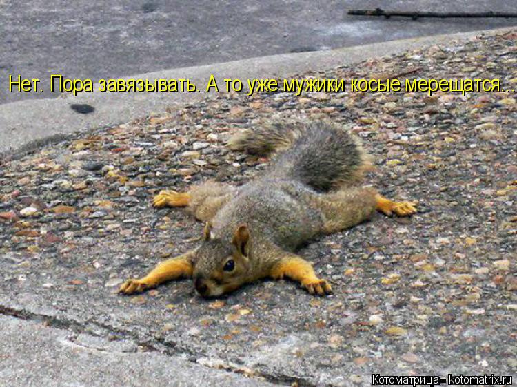 Нет. Пора завязывать. А то уже мужики косые мерещатся...... Котоматрица: Нет. Пора завязывать. А то уже мужики косые мерещатся...