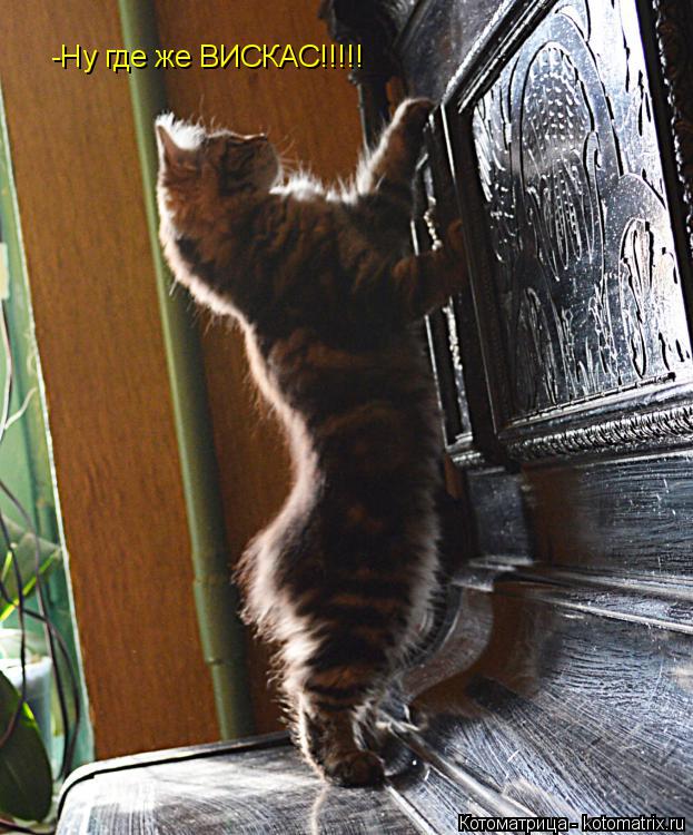-Ну где же ВИСКАС!!!!!... Котоматрица: -Ну где же ВИСКАС!!!!!