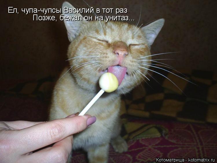 Котоматрица: Ел, чупа-чупсы Василий в тот раз Позже, бежал он на унитаз...