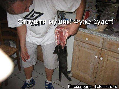 Котоматрица: Отпушти мушик! Фуже будет!