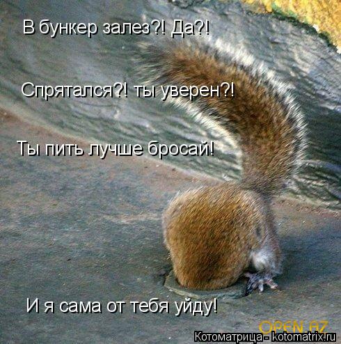 Котоматрица: В бункер залез?! Да?! Ты пить лучше бросай! И я сама от тебя уйду! Спрятался?! ты уверен?!