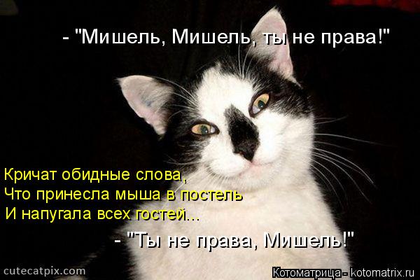 Котоматрица: Что принесла мыша в постель  И напугала всех гостей... Кричат обидные слова, - "Мишель, Мишель, ты не права!" - "Ты не права, Мишель!"