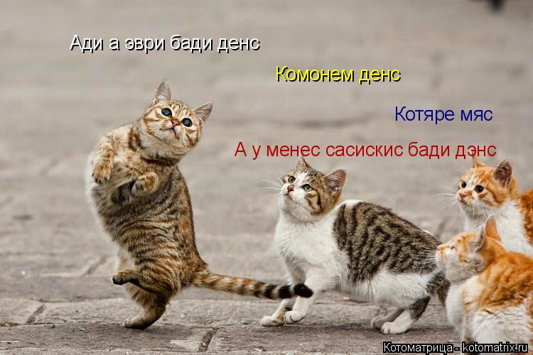 Котоматрица: Ади а эври бади денс Комонем денс Котяре мяс А у менес сасискис бади дэнс