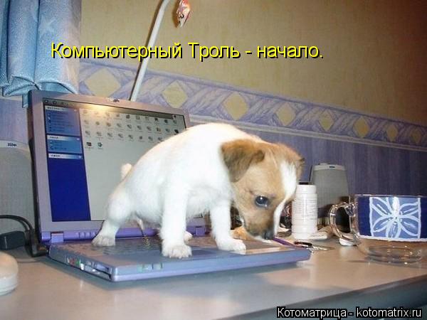 Котоматрица: Компьютерный Троль - начало.