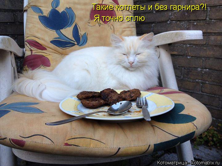 Котоматрица: Такие котлеты и без гарнира?! Я точно сплю