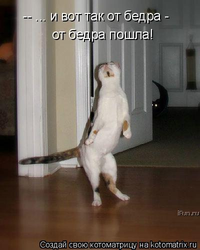Котоматрица: -- ... и вот так от бедра -  от бедра пошла!