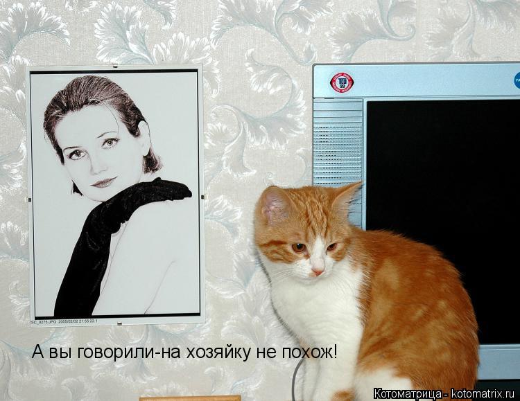 Котоматрица: А вы говорили-на хозяйку не похож!