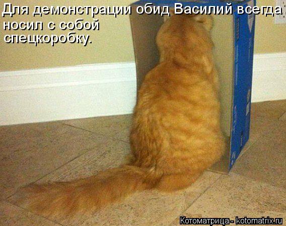Котоматрица: Для демонстрации обид Василий всегда носил с собой спецкоробку.