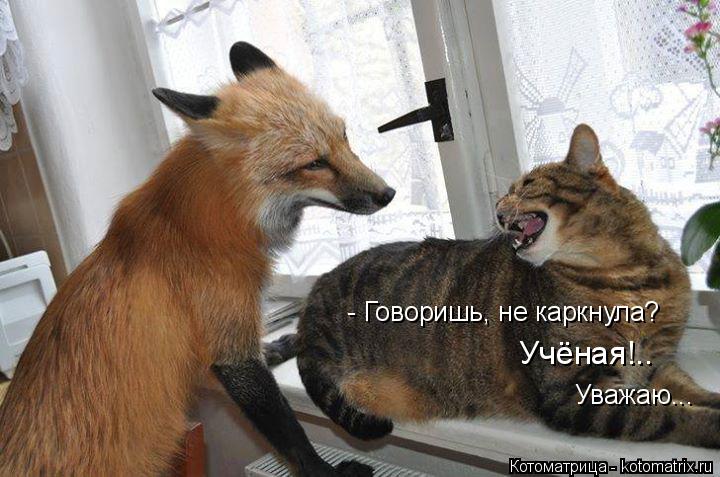 Котоматрица: - Говоришь, не каркнула? Учёная!.. Уважаю...
