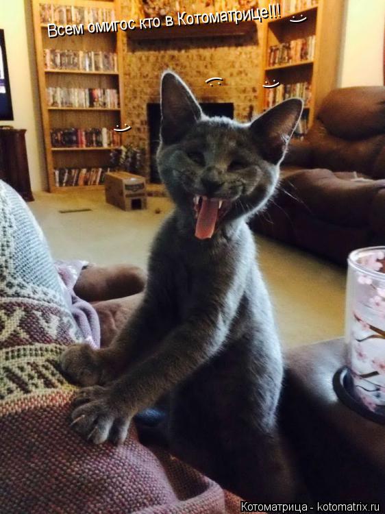 Котоматрица: Всем омигос кто в Котоматрице!!! :) :) :) :)