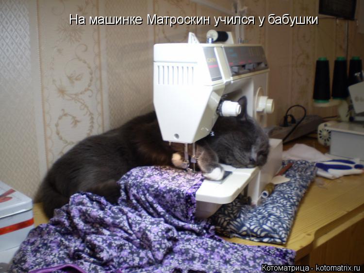 Котоматрица: На машинке Матроскин учился у бабушки
