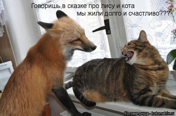 Котоматрица: Говоришь,в сказке про лису и кота мы жили долго и счастливо???