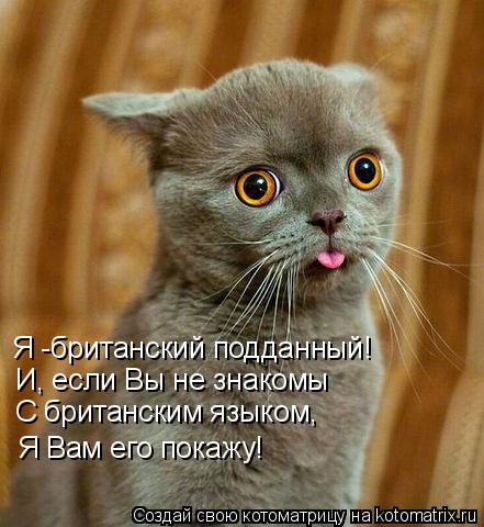 Котоматрица: Я -британский подданный! С британским языком, Я Вам его покажу! И, если Вы не знакомы