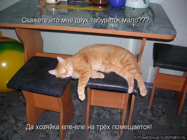 Котоматрица: Скажете,что мне двух табуреток мало??? Да хозяйка еле-еле на трёх помещается!
