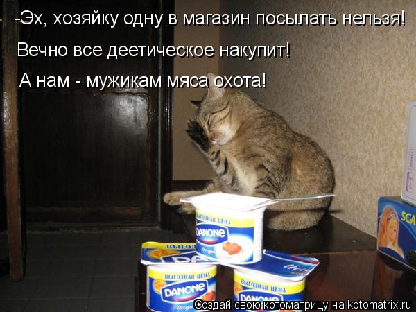-Эх, хозяйку одну в магазин посылать нельзя! Вечно все деетическое накупит! А нам - мужикам мяса охо... Котоматрица: -Эх, хозяйку одну в магазин посылать нельзя! Вечно все деетическое накупит! А нам - мужикам мяса охота!