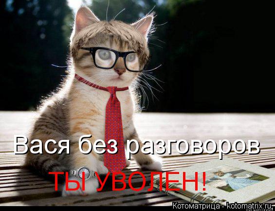 Котоматрица: Вася без разговоров ТЫ УВОЛЕН!