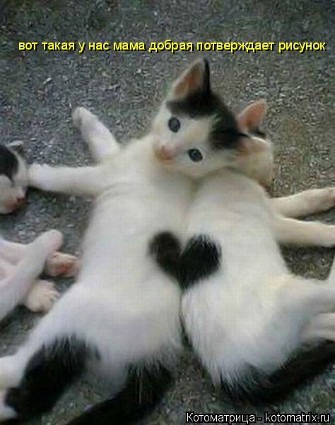 Котоматрица: вот такая у нас мама добрая потверждает рисунок