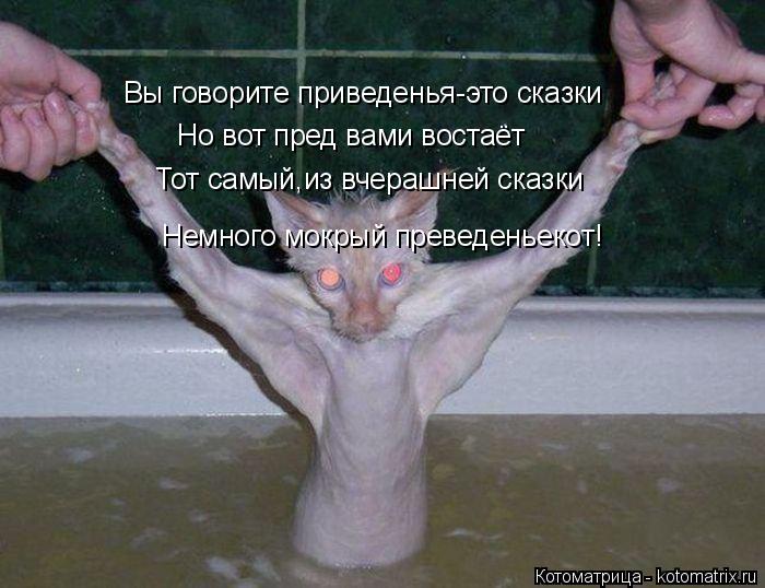 Котоматрица: Вы говорите приведенья-это сказки Но вот пред вами востаёт Тот самый,из вчерашней сказки Немного мокрый преведеньекот!