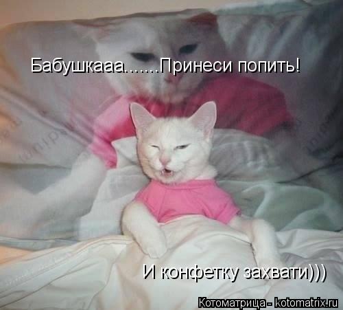 Котоматрица: Бабушкааа.......Принеси попить! И конфетку захвати)))