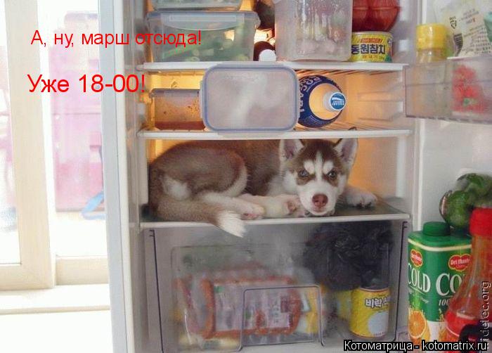 Котоматрица: А, ну, марш отсюда! Уже 18-00!