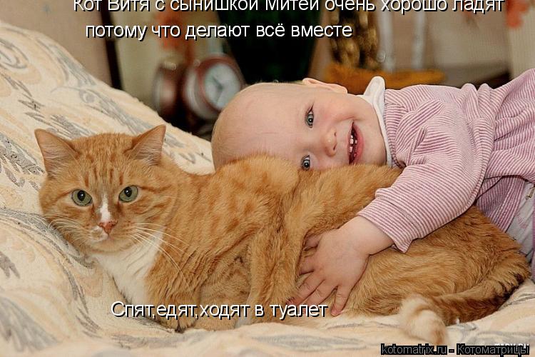 Кот Витя с сынишкой Митей очень хорошо ладят потому что делают всё вместе потому что делают всё вмест... Котоматрица: Кот Витя с сынишкой Митей очень хорошо ладят потому что делают всё вместе потому что делают всё вместе Спят,едят,ходят в туалет