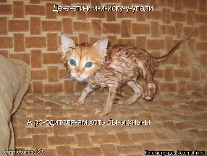 Де-е-ети-и и-и-иску-у-упали А ро-одителя-ям хоть бы-ы хны-ы... Котоматрица: Де-е-ети-и и-и-иску-у-упали А ро-одителя-ям хоть бы-ы хны-ы