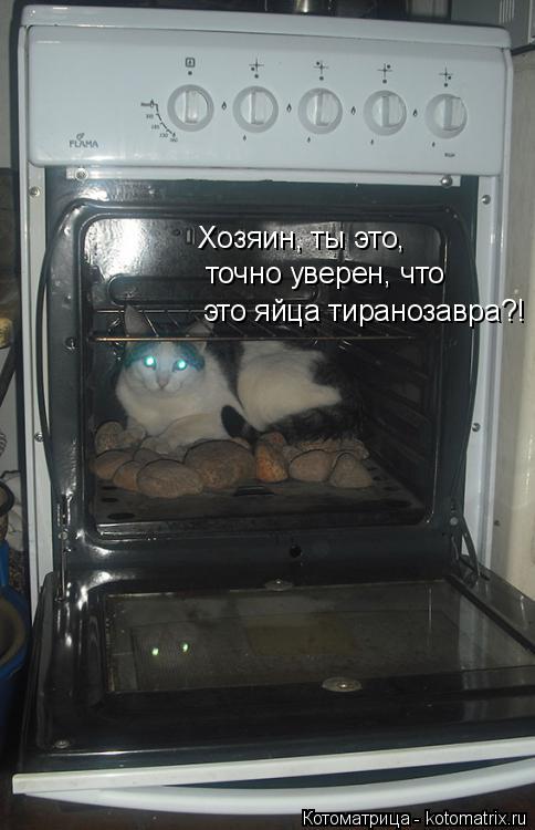 Котоматрица: Хозяин, ты это, точно уверен, что  это яйца тиранозавра?!