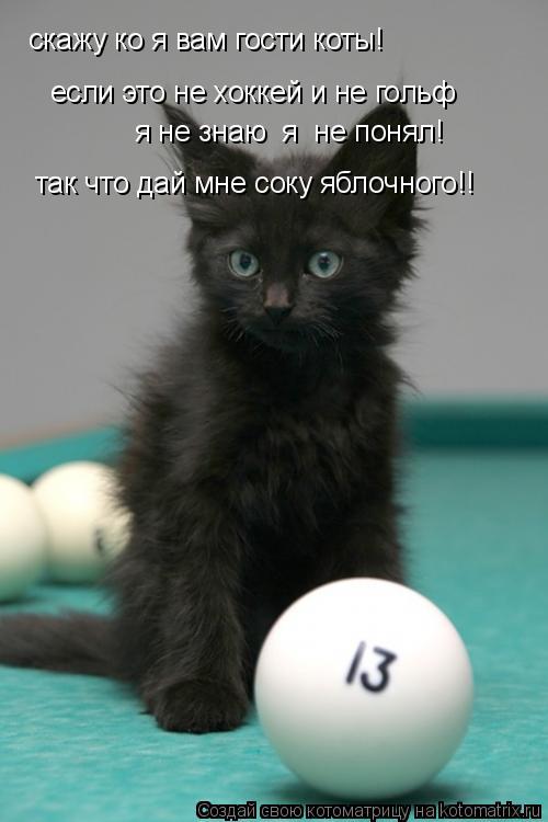 скажу ко я вам гости коты! если это не хоккей и не гольф я не знаю я не понял! так что дай мне со... Котоматрица: скажу ко я вам гости коты! если это не хоккей и не гольф я не знаю я не понял! так что дай мне соку яблочного!!