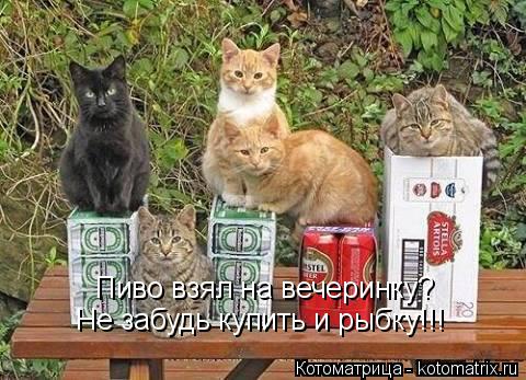 Котоматрица: Пиво взял на вечеринку? Не забудь купить и рыбку!!!