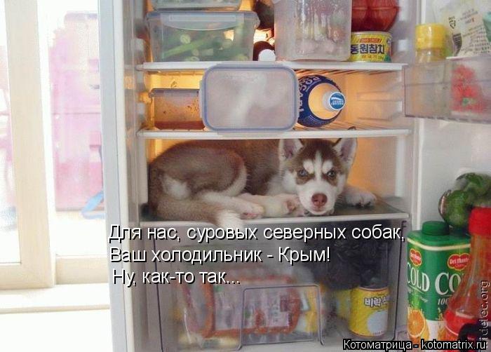 Котоматрица: Для нас, суровых северных собак, Для нас, суровых северных собак, Ваш холодильник - Крым! Ну, как-то так...